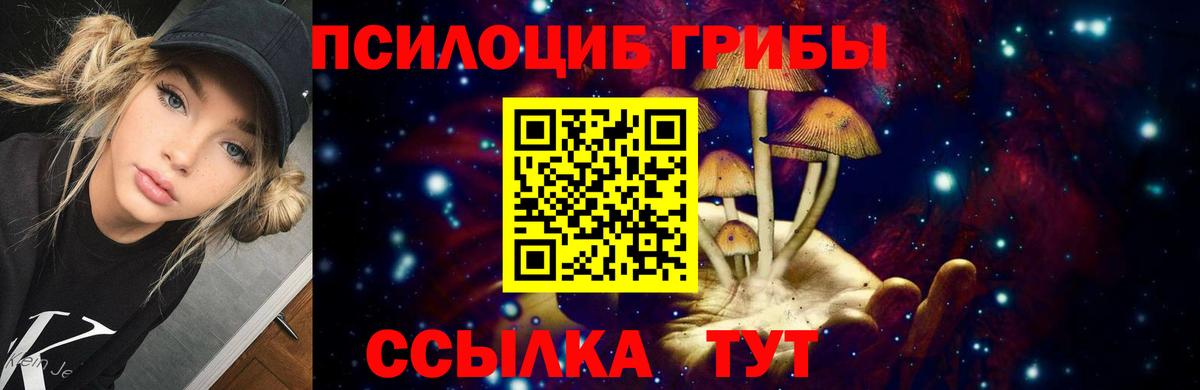 Псилоцибиновые грибы Psilocybe  Вход с VPN  Галлюциногенные грибы мухоморы  Батайск 